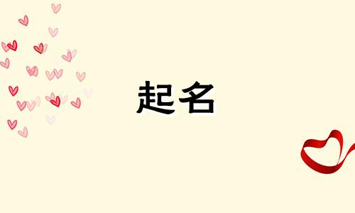 网红起名方式有哪些英文