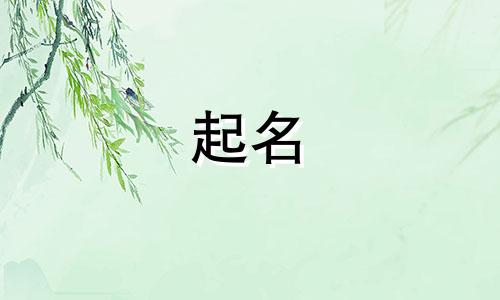 书法起名字网站有哪些