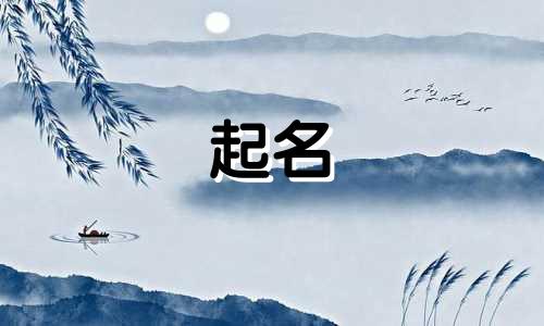 华为起名的软件有哪些名称