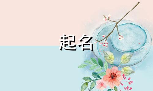 专业起名书籍有哪些名字
