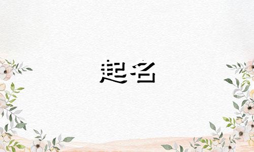 品牌起名好记的有哪些店