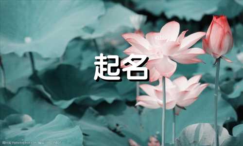 起名多用的字有哪些好听