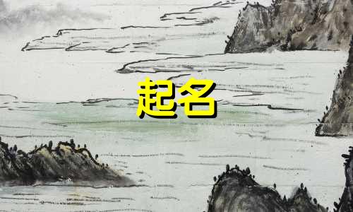 商家起名的方式有哪些种类