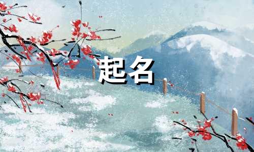 起名不重名软件有哪些好用