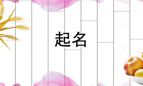 菜园起名过程描写句子有哪些