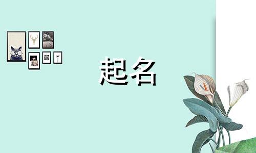关于数学的起名有哪些名字
