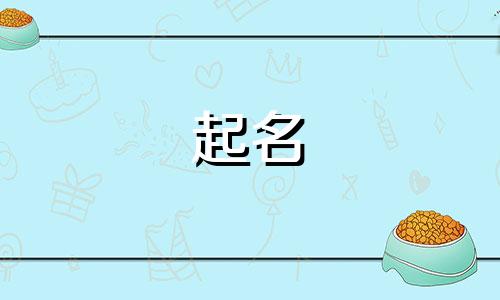 比亚起名规律有哪些内容