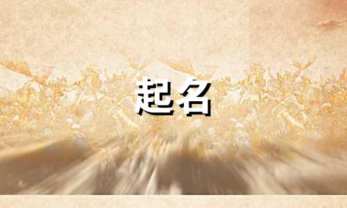 植物起名的传媒公司有哪些