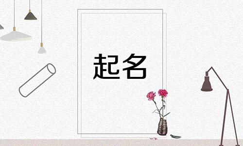 有哪些软件可以起名字