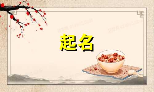 起名鬼才小猫的名字有哪些
