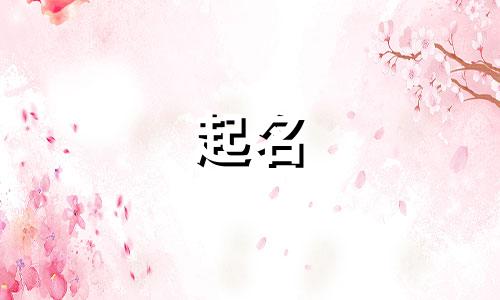 现在女孩起名的倾向有哪些