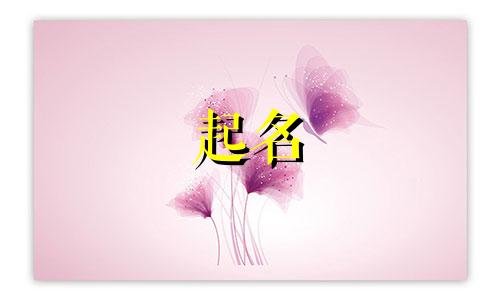 适合兄妹起名诗句有哪些