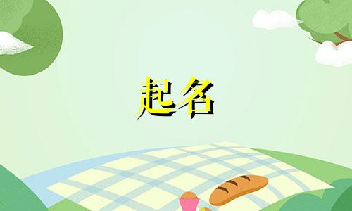 企业公众号起名规则有哪些