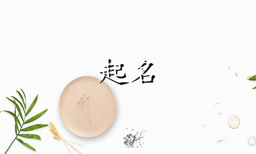 孩子免费起名网站有哪些