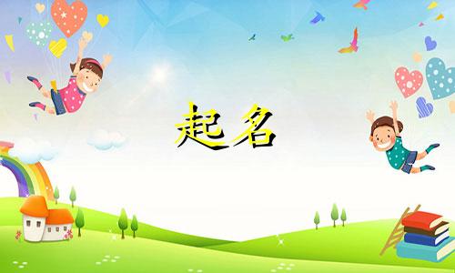 便宜的物流公司起名有哪些