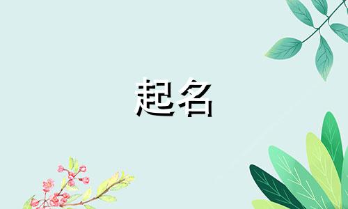 能源类的公司起名有哪些
