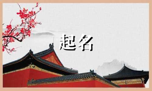 常用的起名软件有哪些名字