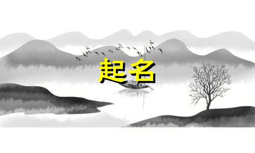 给产品起名工具有哪些名字