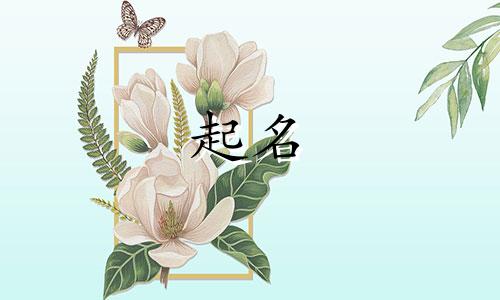 诗词起名的词语大全有哪些
