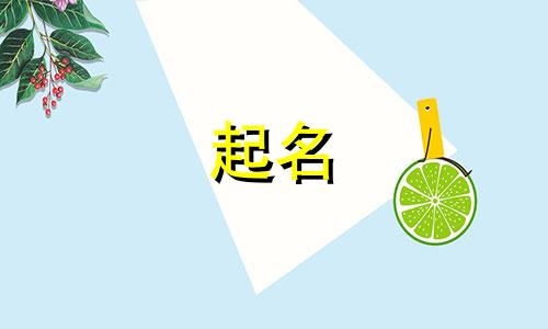仓鼠起名来源有哪些字好听