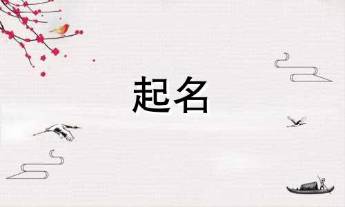 企业起名免费网站有哪些