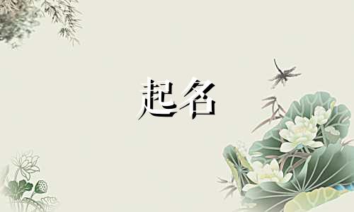 起名童姓女孩名字有哪些