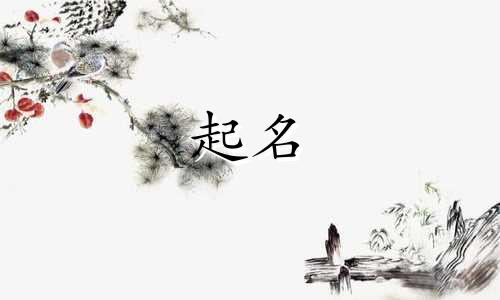 给猫起名叠词有哪些字