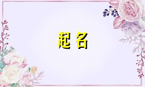 兔宝起名用字有哪些好