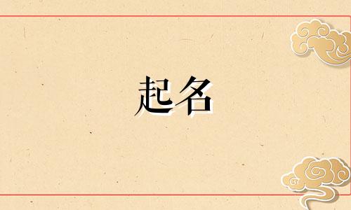 起名网页设计软件有哪些
