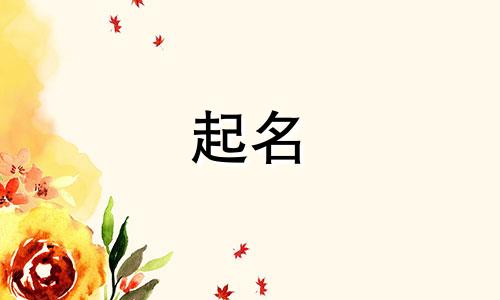 唐宋起名书籍有哪些名字