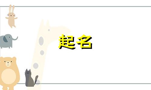 给狗起名游戏有哪些好听