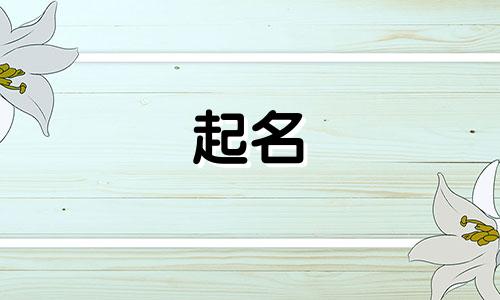 熊猫起名方式有哪些呢英语
