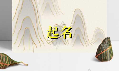 花店起名新颖的名字有哪些