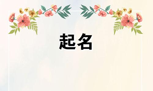 汽车起名的书籍有哪些好听