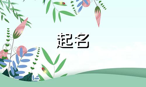 水饺起名独特的含义有哪些