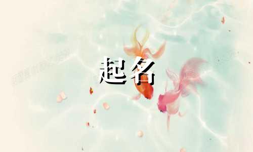 职场栏目名字起名技巧有哪些
