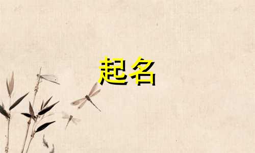 起名带元气的店名有哪些