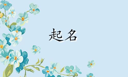 小孩起名带新字的有哪些