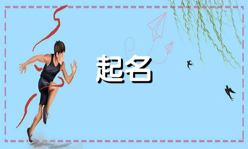 不会起名的萝卜君有哪些