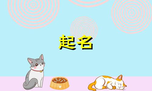 下载小猫起名的软件有哪些