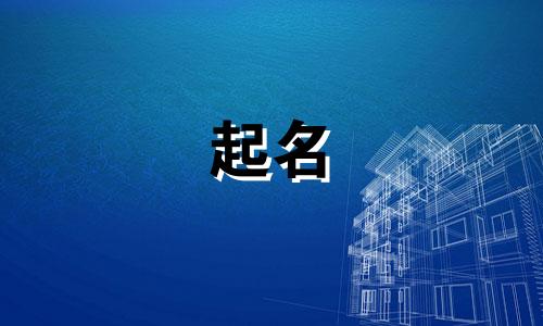 男孩起名姓胡的有哪些