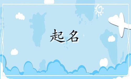 起名字都需要哪些东西