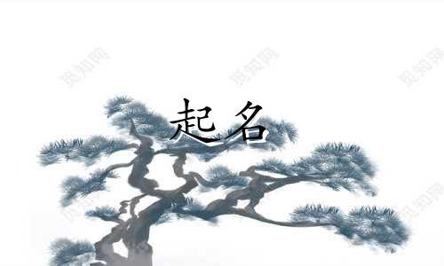 公司起名用的名字有哪些