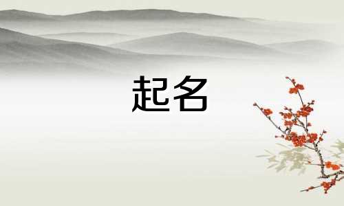包装公司起名哪些字好听的