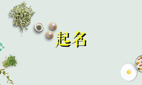 设计图起名软件有哪些