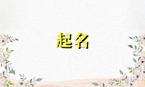 减肥店创意起名软件有哪些