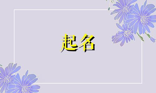 加字起名都有哪些名字女