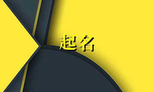 起名黑社会的名字有哪些