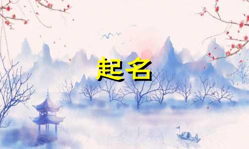 起名网站套路有哪些名字