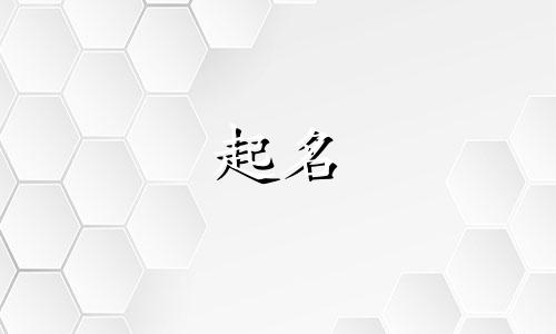 以董起名的公司有哪些